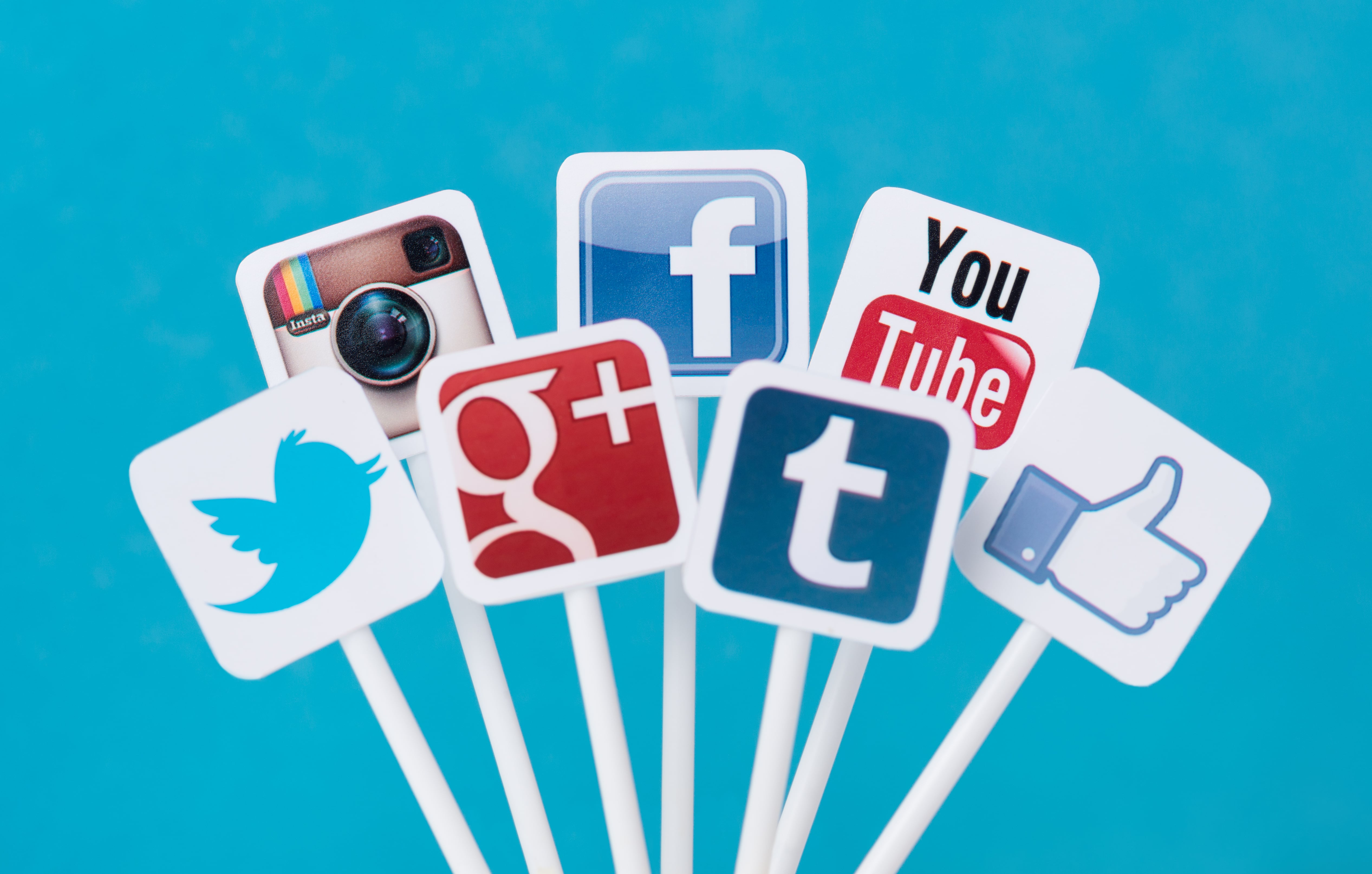 5 Examples of Social Media Campaigns You Can Learn From