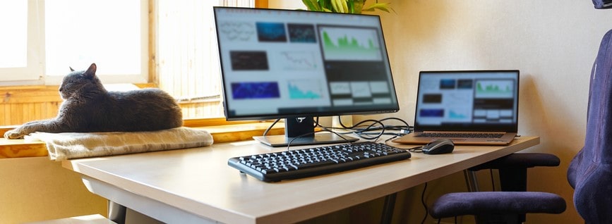 The Benefits of Remote Working