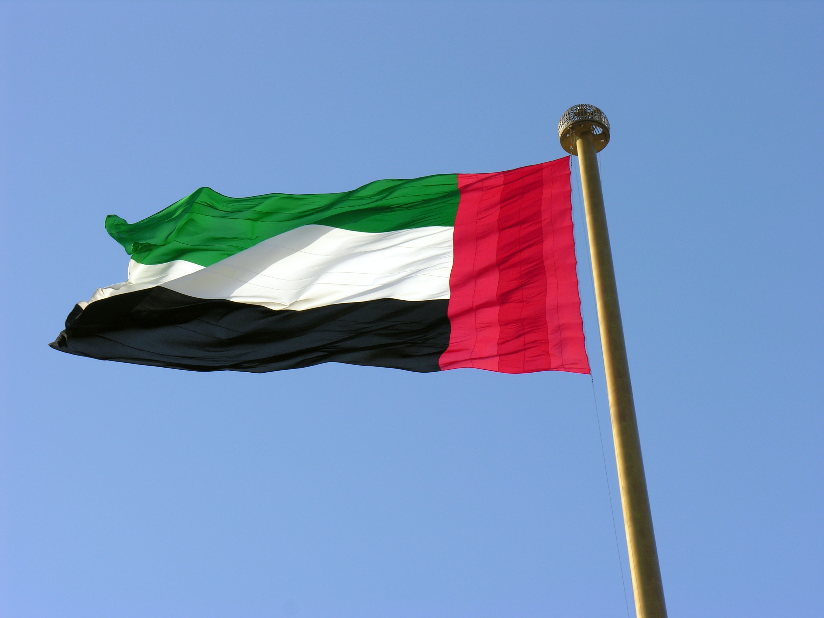 Saphyte: Top Performing Industries in the UAE