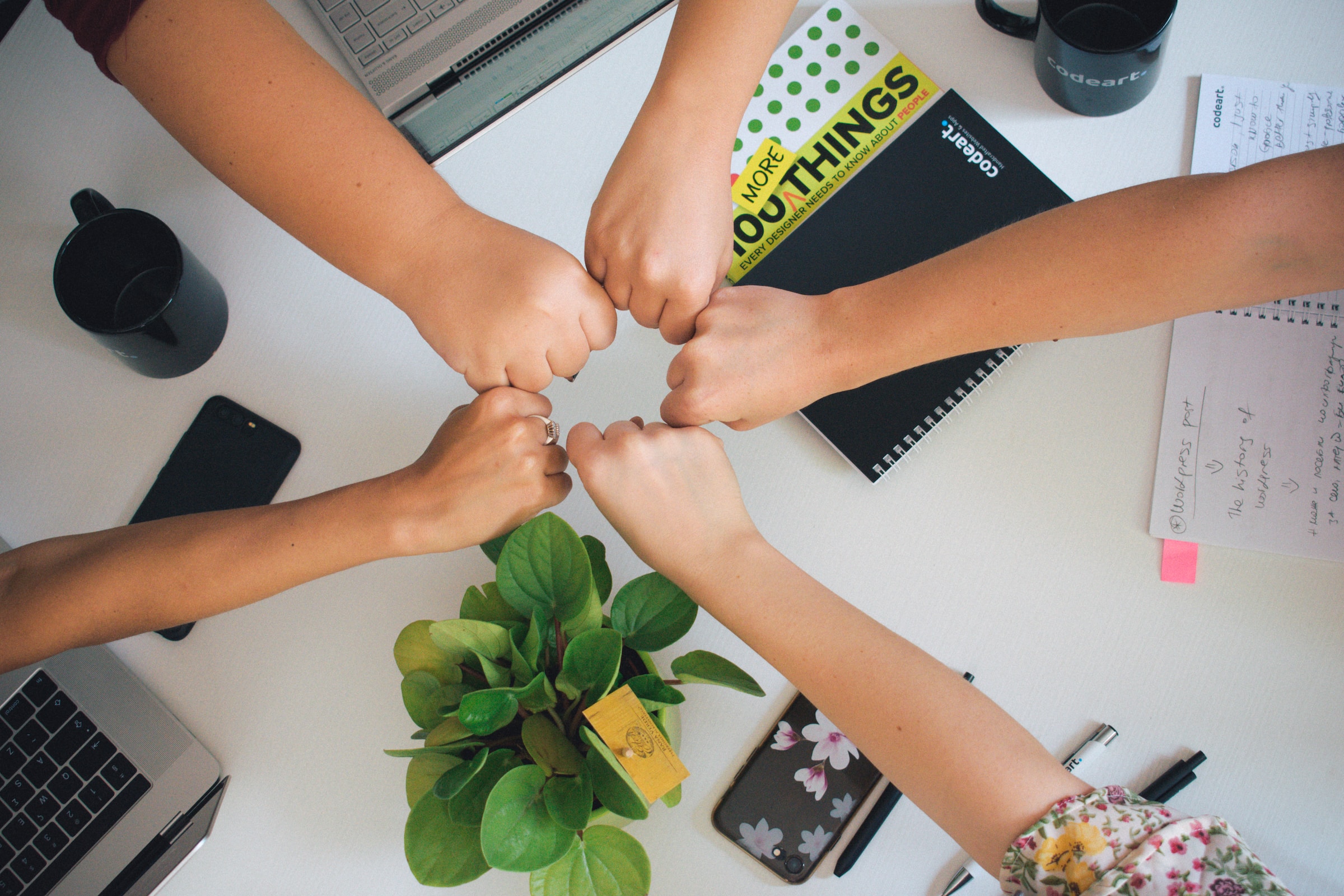 How Team Diversity Drives Innovation and Tips to Get Started